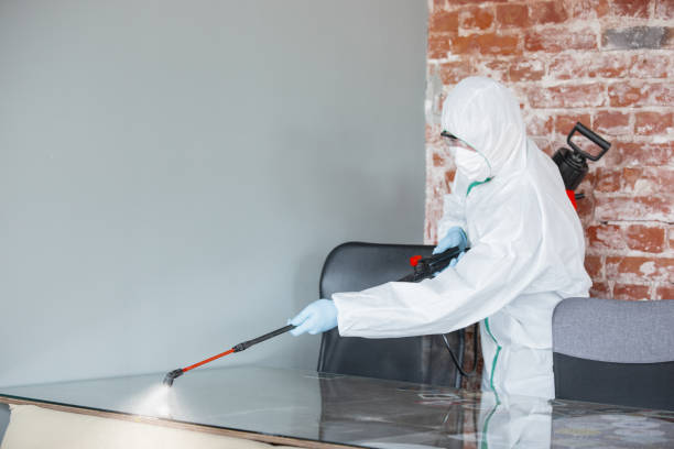 Best Commercial Mold Inspection in Montclair, VA